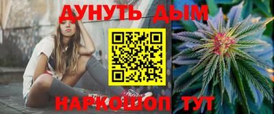 индика Шахты