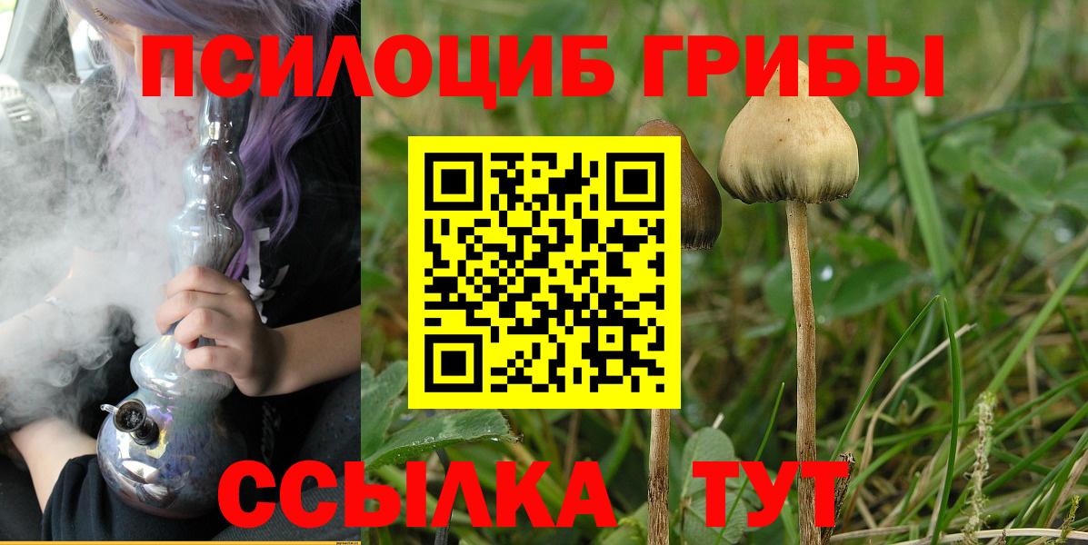 Псилоцибиновые грибы Cubensis Борисоглебск